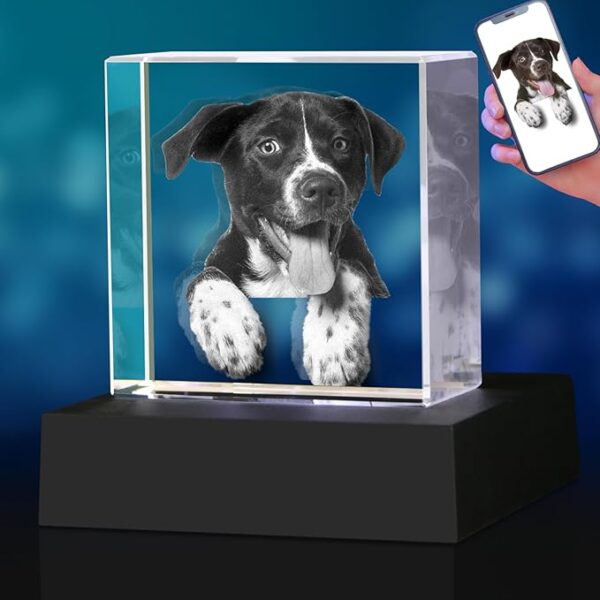 Honor their legacy with a Pet Memorial Gift for Dogs Or Cats