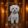 Best photo for Custom Pet Memorial 3D Photo Crystal