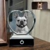 Custom 3D Pet Photo Crystal in PetCrystal3D