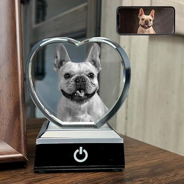 Custom 3D Pet Photo Crystal in PetCrystal3D