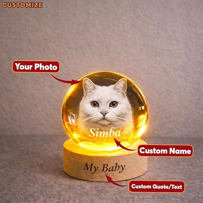 Personalized Pet Photo Crystal Ball Light, Custom 3D Engraved Dog Cat Portrait Crystal Globe Lamp with LED Wooden Base, Pets Memorial Gift, Pet Loss Remembrance Keepsake for Dog Lovers, P2 - Image 5