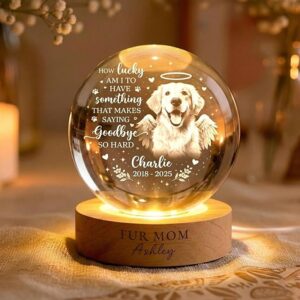 Noni Personalized 3D Crystal Dog Memorial Photo Gift, Custom Engraved Pet Portrait Keepsake, Dogs Loss Sympathy Gift, Pet Photo Crystal Ball Night Ligth for Dog Lover Home Decor Style 3