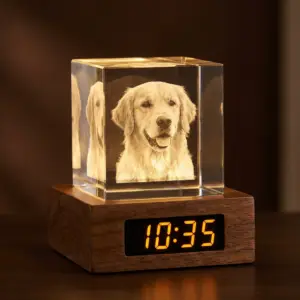 Custom Pet Memorial Crystal Clock Night Light with LED Wood Base